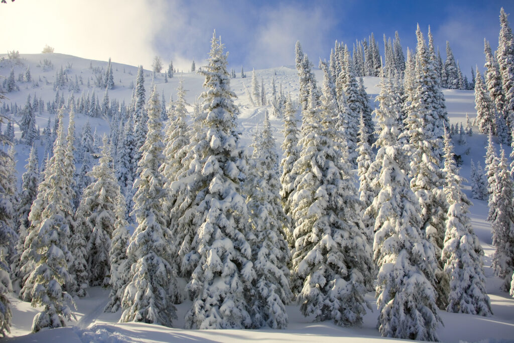 IDAHO SKIING – SKIERS PARADISE WITH ENDLESS POWDER AND KILLER VERTICAL DROP