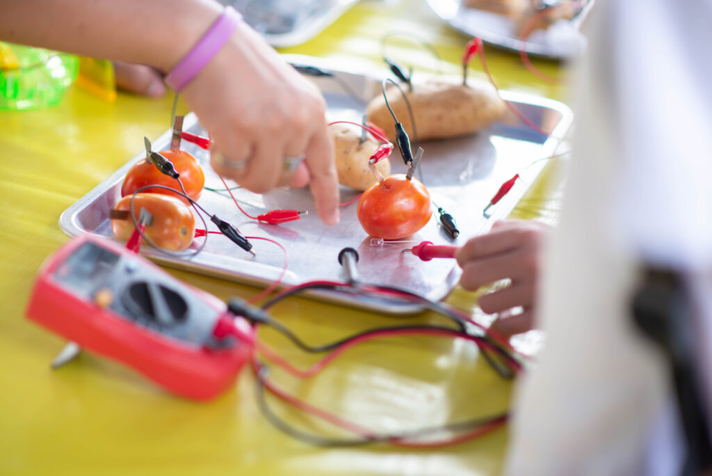 Earth & Science Day Camp – Basecamp